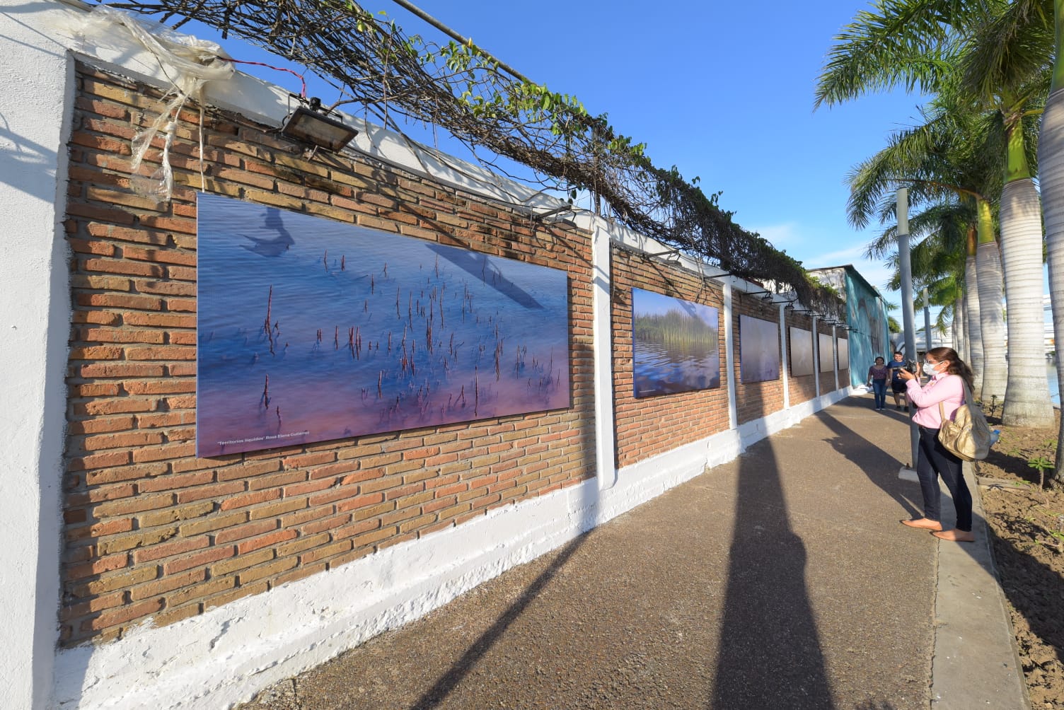 Total Apoyo al Desarrollo Artístico y Cultural Brinda Gobierno de Tampico