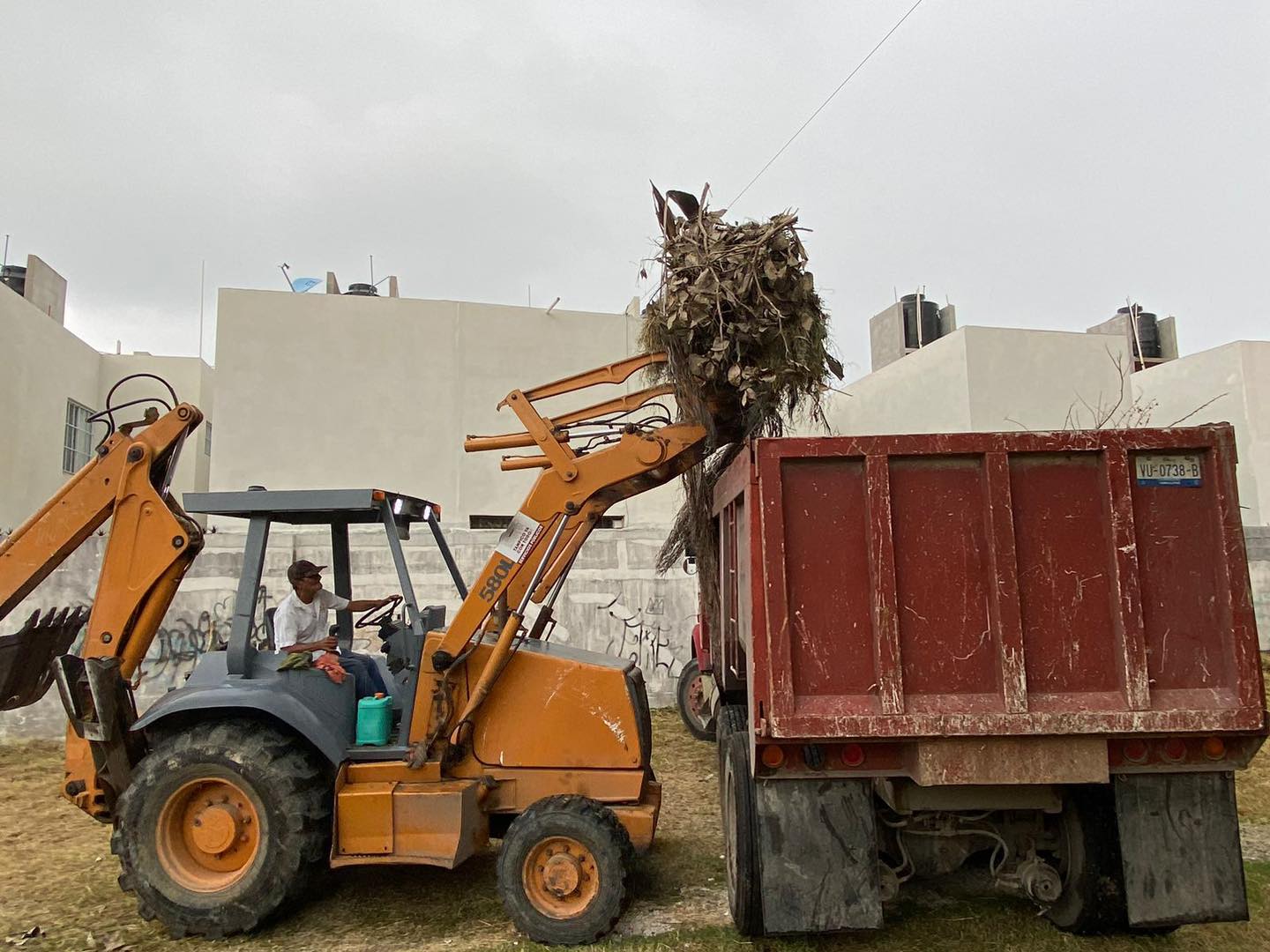 Intensifican Acciones de Limpieza y Mejora del Entorno en la Zona Norte